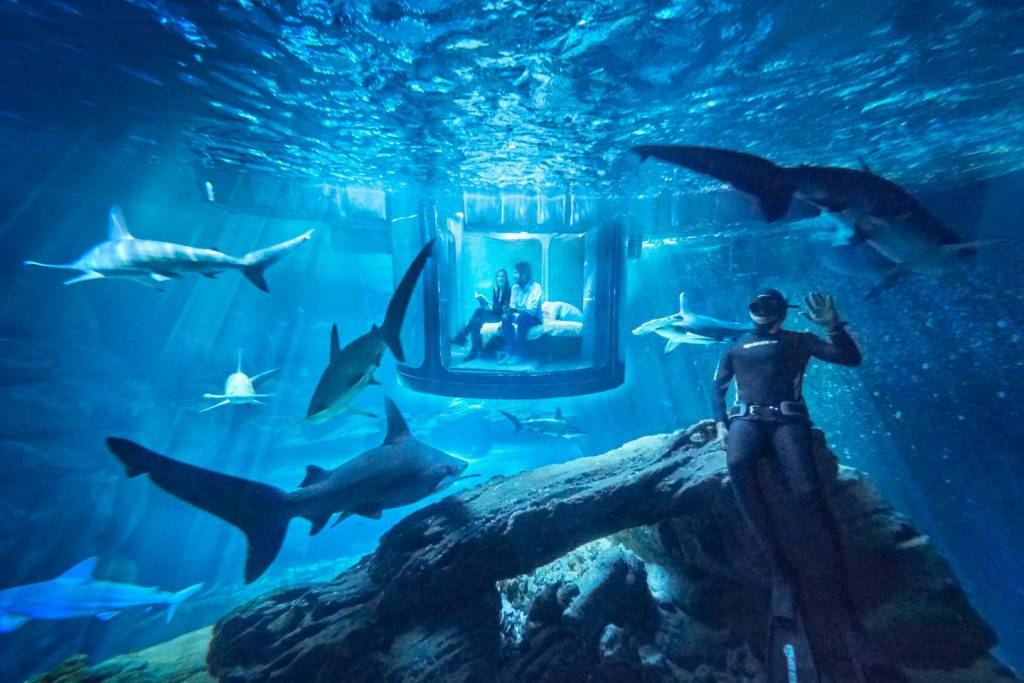 airbnb-night-at-aquarium-de-paris-shark-1